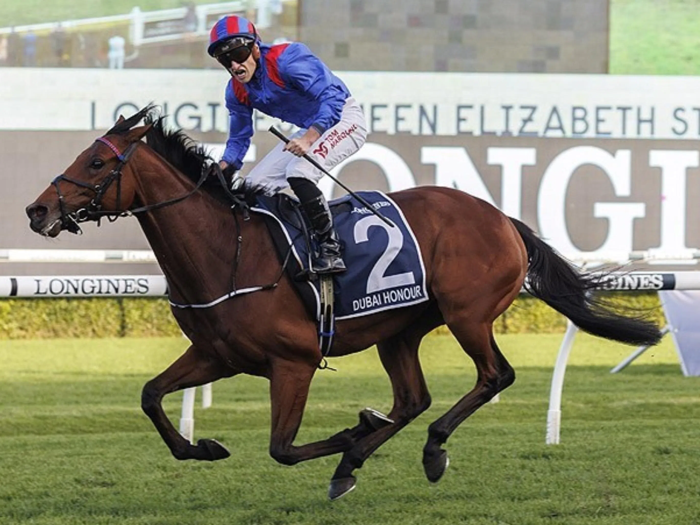 'Aussie Tom' Is onto another lap of Honour